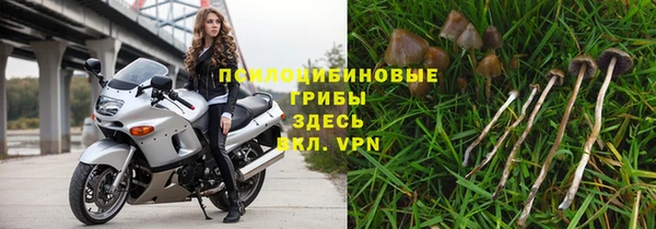 ПСИЛОЦИБИНОВЫЕ ГРИБЫ Алексин