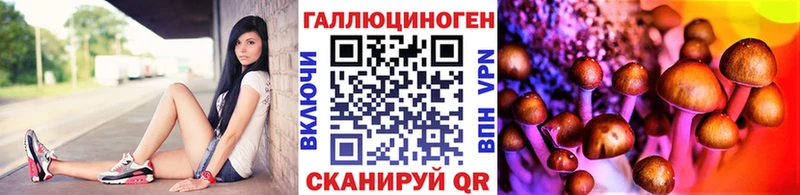 Галлюциногенные грибы Cubensis  нарко площадка телеграм  Советский 